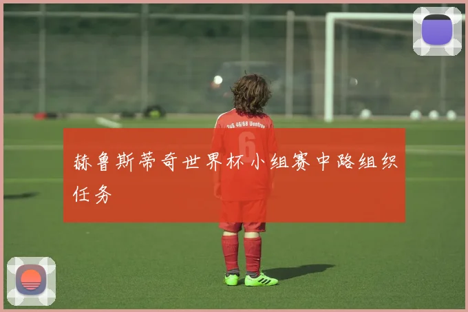 赫鲁斯蒂奇世界杯小组赛中路组织任务