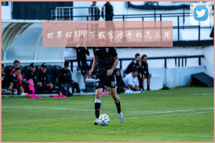 世界杯APP下载官方手机怎么用
