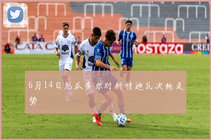 6月14日厄瓜多尔对科特迪瓦次轮走势