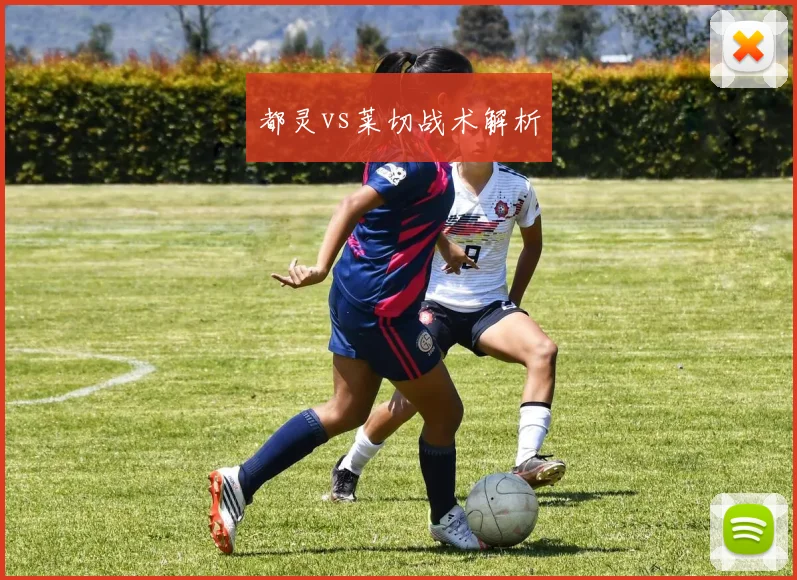 都灵vs莱切战术解析
