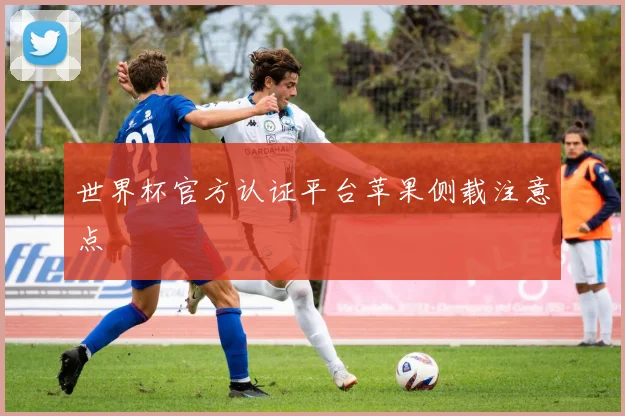 世界杯官方认证平台苹果侧载注意点
