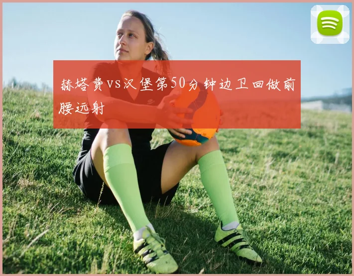 赫塔费vs汉堡第50分钟边卫回做前腰远射